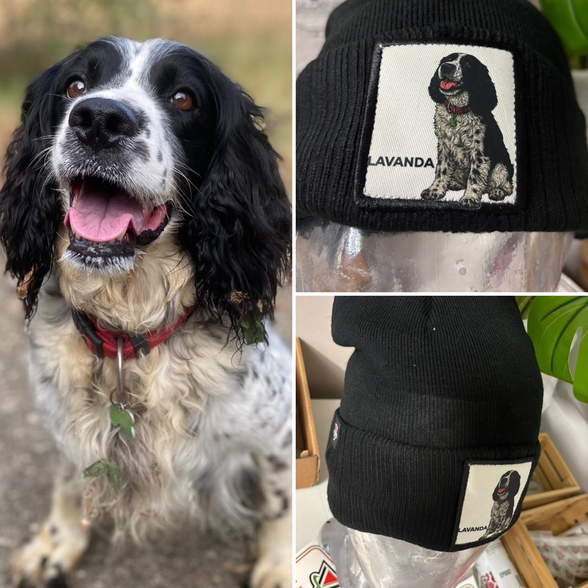 #CapMyPet PetPatch& Proud il cappellino personalizzato con la foto del tuo amico a 4 zampe
