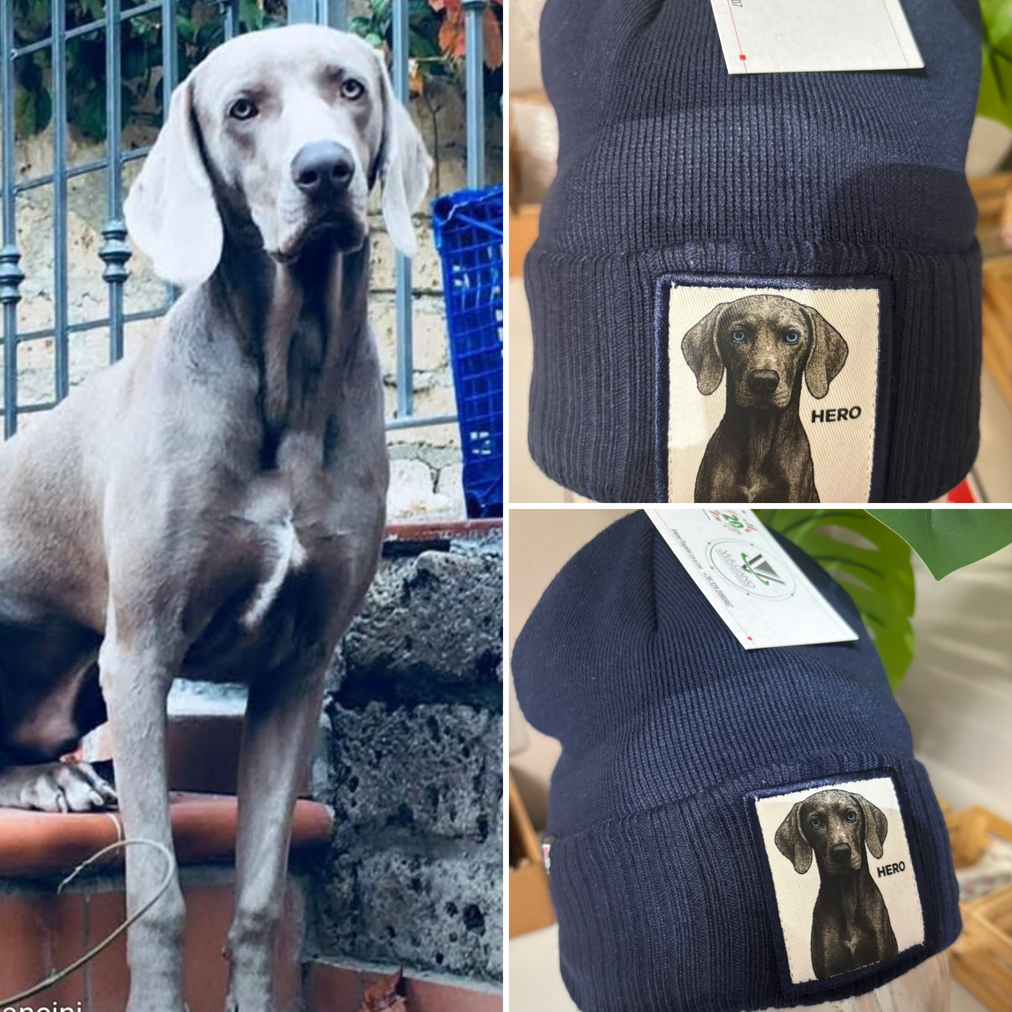 #CapMyPet PetPatch& Proud il cappellino personalizzato con la foto del tuo amico a 4 zampe