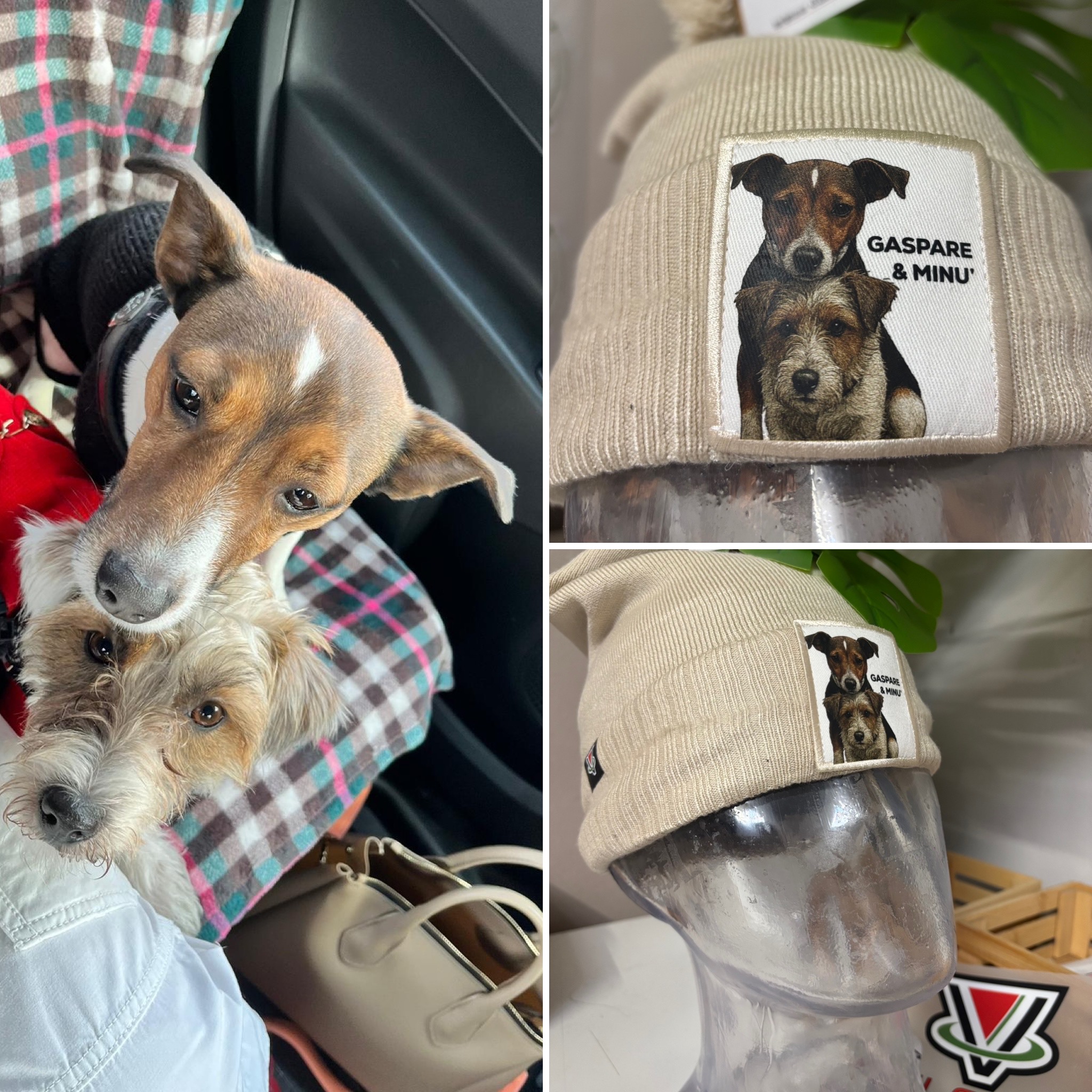 #CapMyPet PetPatch& Proud il cappellino personalizzato con la foto del tuo amico a 4 zampe