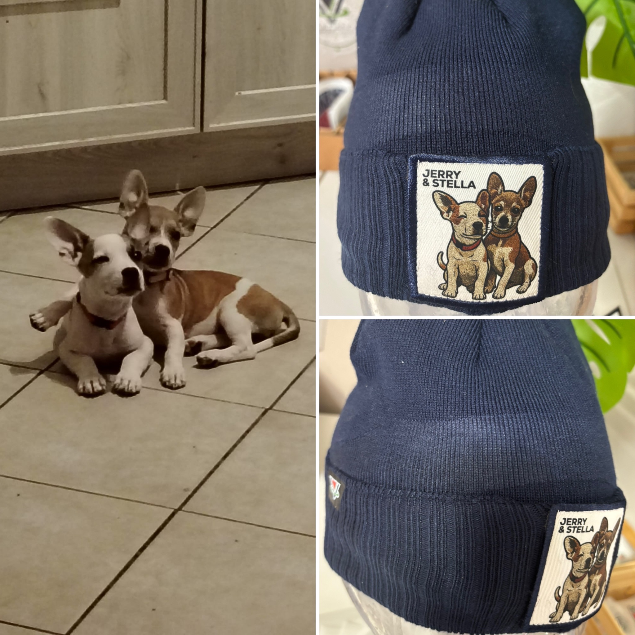 #CapMyPet PetPatch& Proud il cappellino personalizzato con la foto del tuo amico a 4 zampe