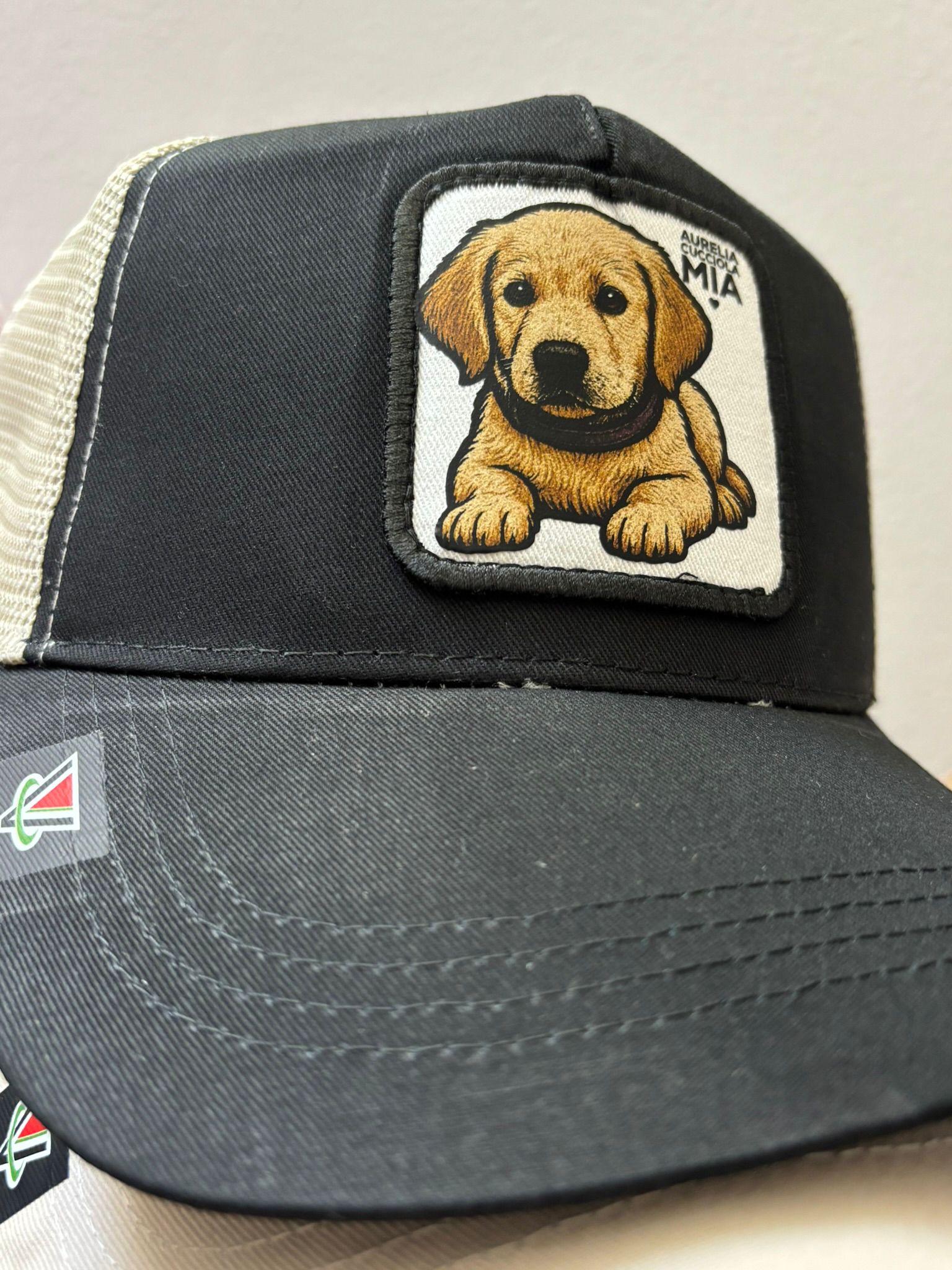 Fai o fatti un regalo davvero esclusivo! trasforma il tuo amico a 4 zampe in un'icona da indossare CAPMYPET l'esclusivo cappellino da baseball con la patch del tuo amico a 4 zampe. OTTIMO REGALO DI NATALE per uomo donna e bambino