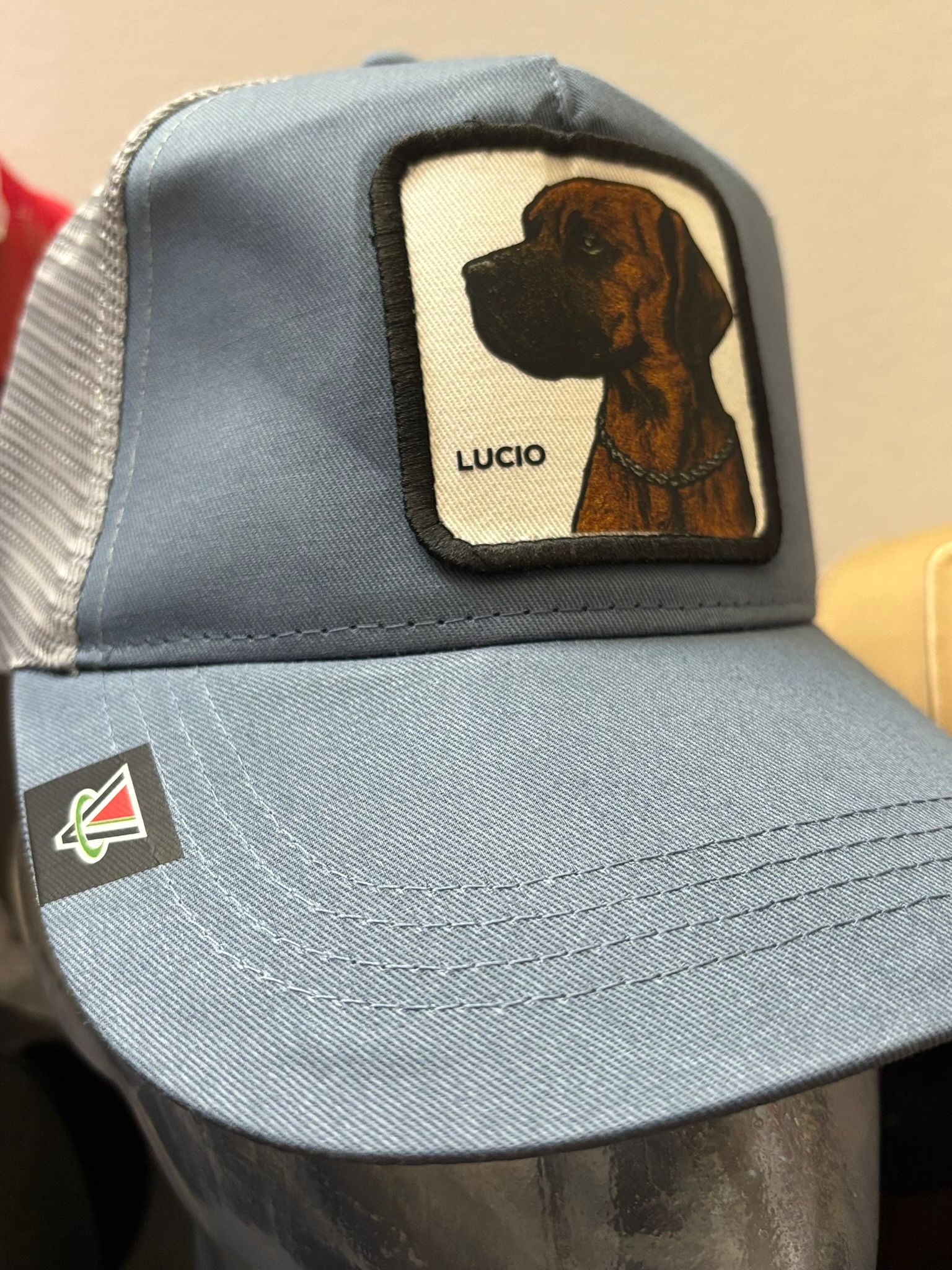 idea regalo per natale compleanno per uomo donna e bambino. CAPMYPET
