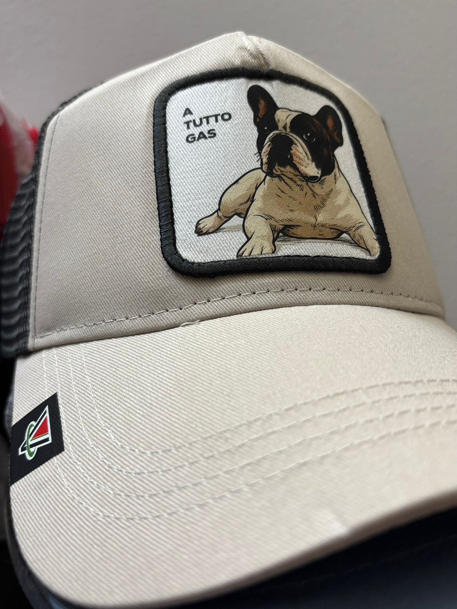 Fai o fatti un regalo davvero esclusivo! trasforma il tuo amico a 4 zampe in un'icona da indossare CAPMYPET l'esclusivo cappellino da baseball con la patch del tuo amico a 4 zampe. OTTIMO REGALO DI NATALE per uomo donna e bambino
