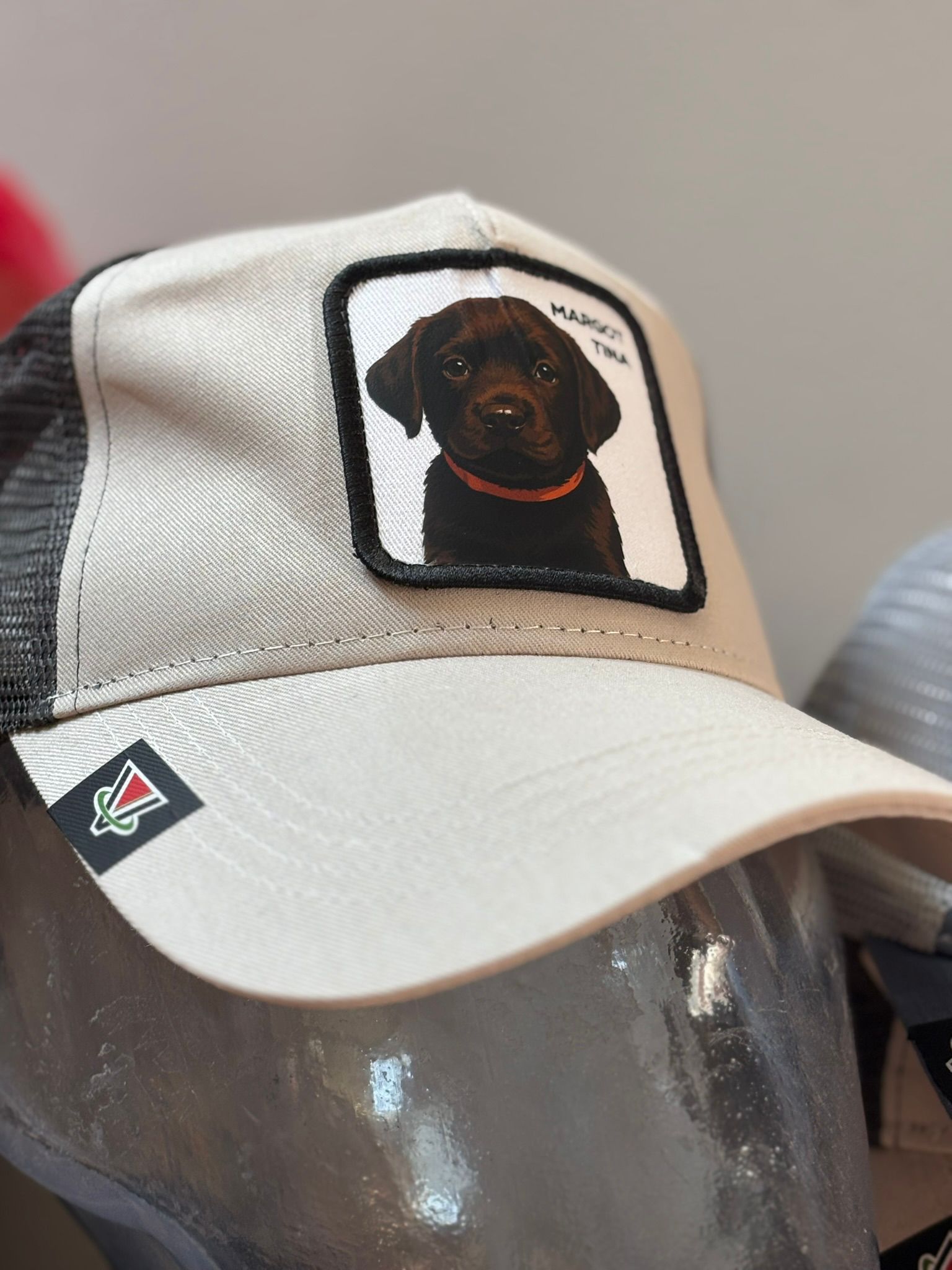 idea regalo per natale compleanno per uomo donna e bambino - #capmypet