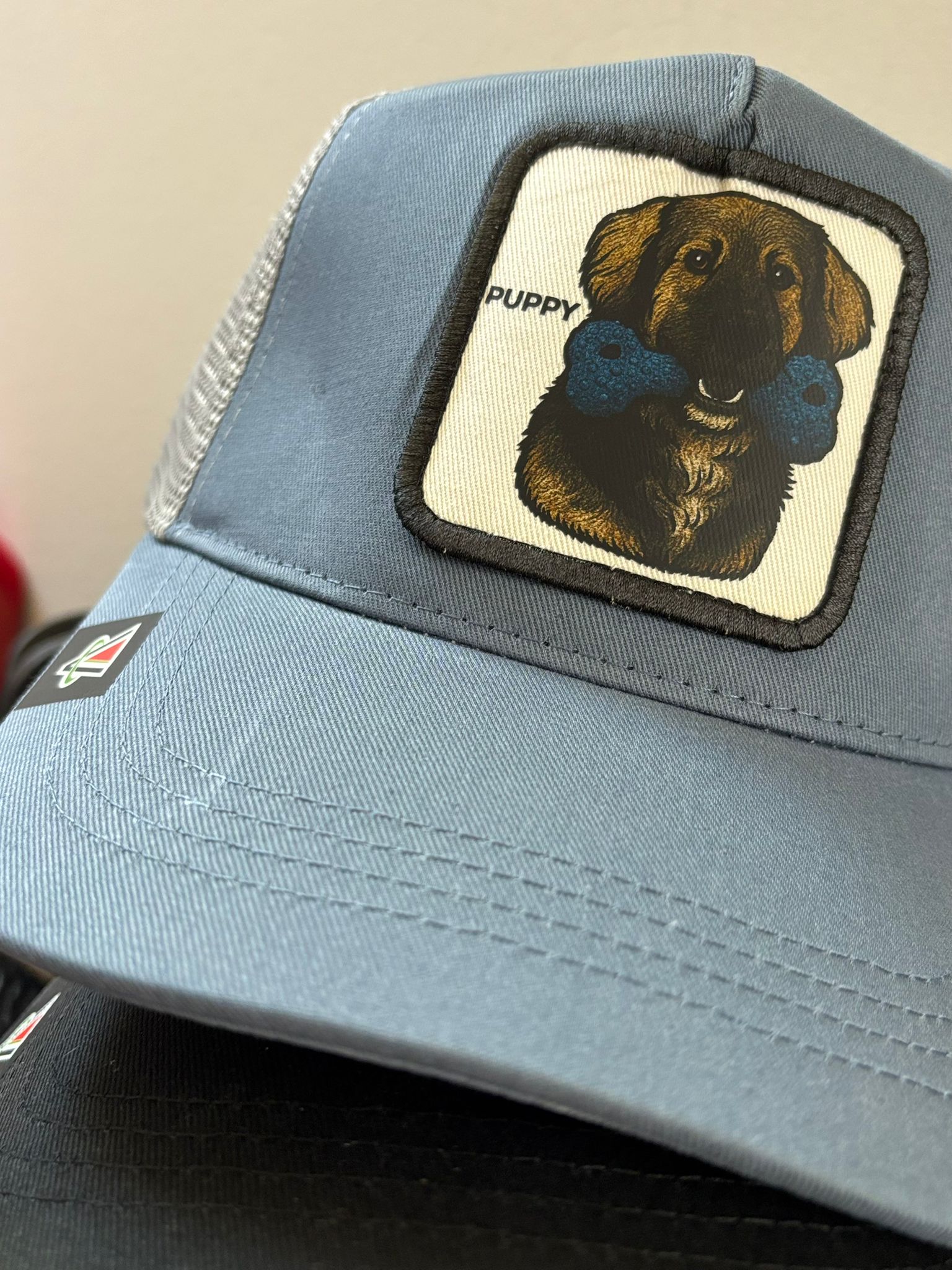 Fai o fatti un regalo davvero esclusivo! trasforma il tuo amico a 4 zampe in un'icona da indossare CAPMYPET l'esclusivo cappellino da baseball con la patch del tuo amico a 4 zampe. OTTIMO REGALO DI NATALE per uomo donna e bambino