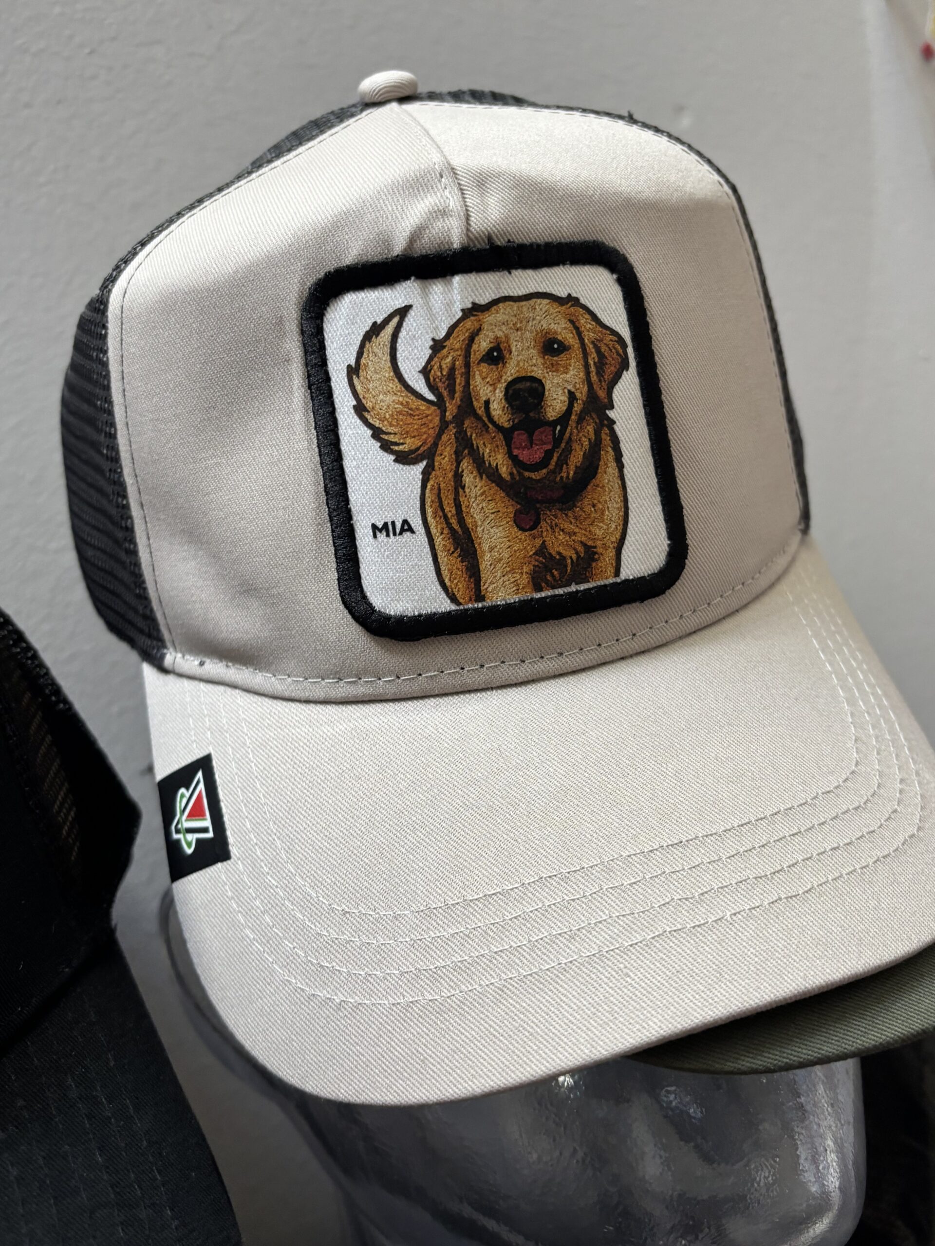 Fai o fatti un regalo davvero esclusivo NATALE O COMPLEANNO IDEALE PER UOMO DONNA E BAMBINO #capmypet