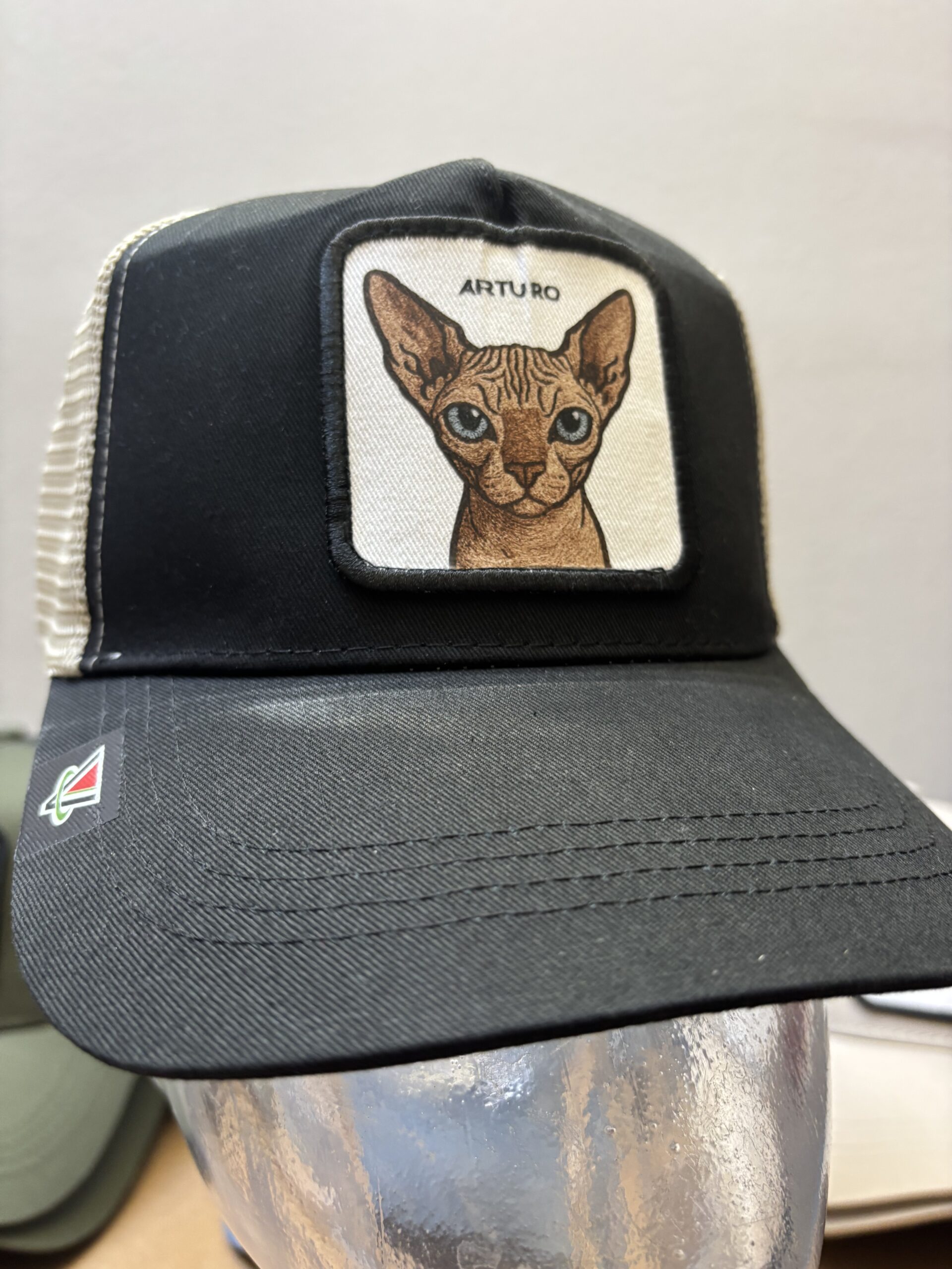 Fai o fatti un regalo davvero esclusivo NATALE O COMPLEANNO IDEALE PER UOMO DONNA E BAMBINO #capmypet
