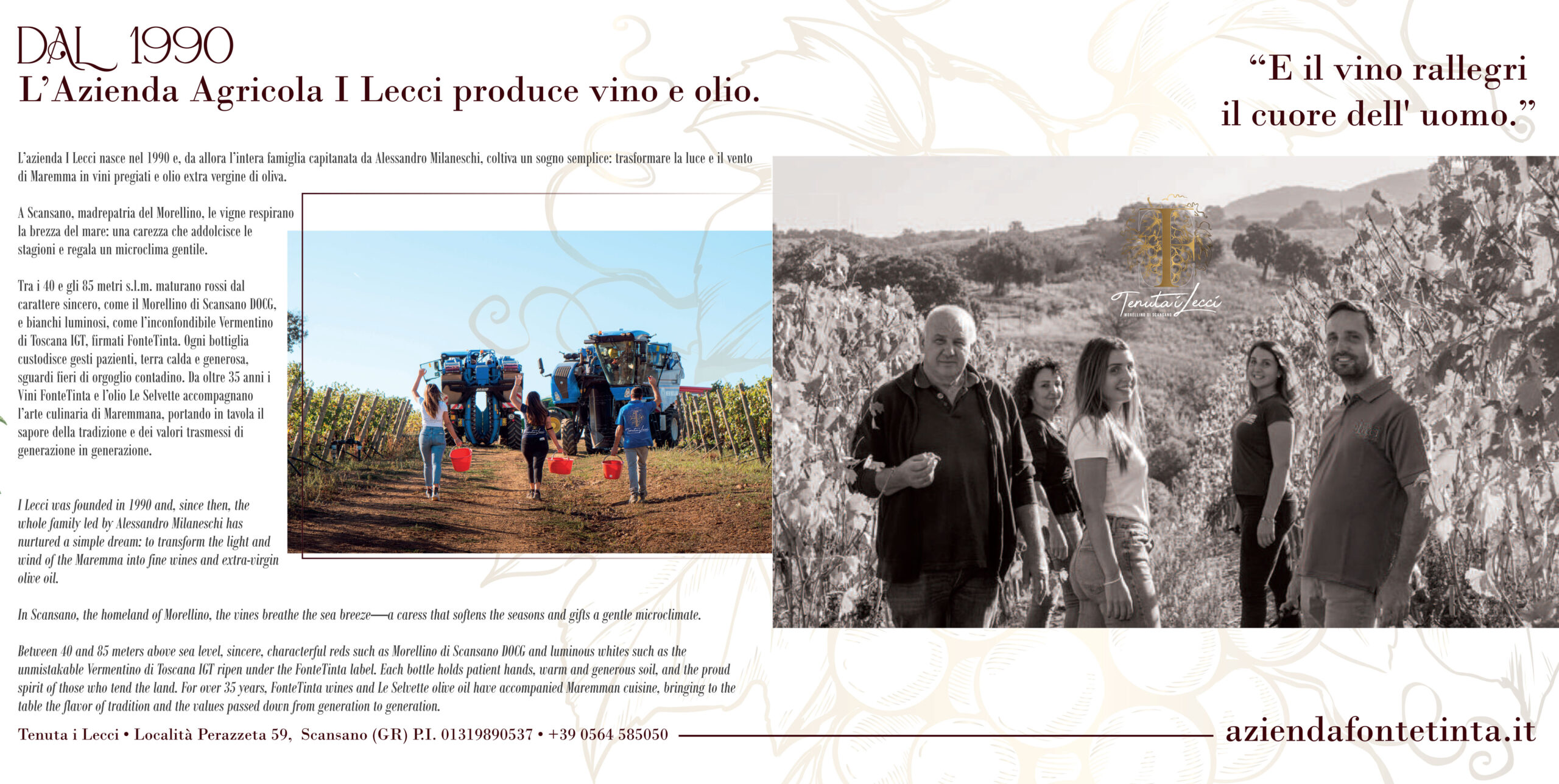 progettazione grafica e stampa BROCHURE AZIENDALI - studio grafico Grosseto Vulcano Comunicazione