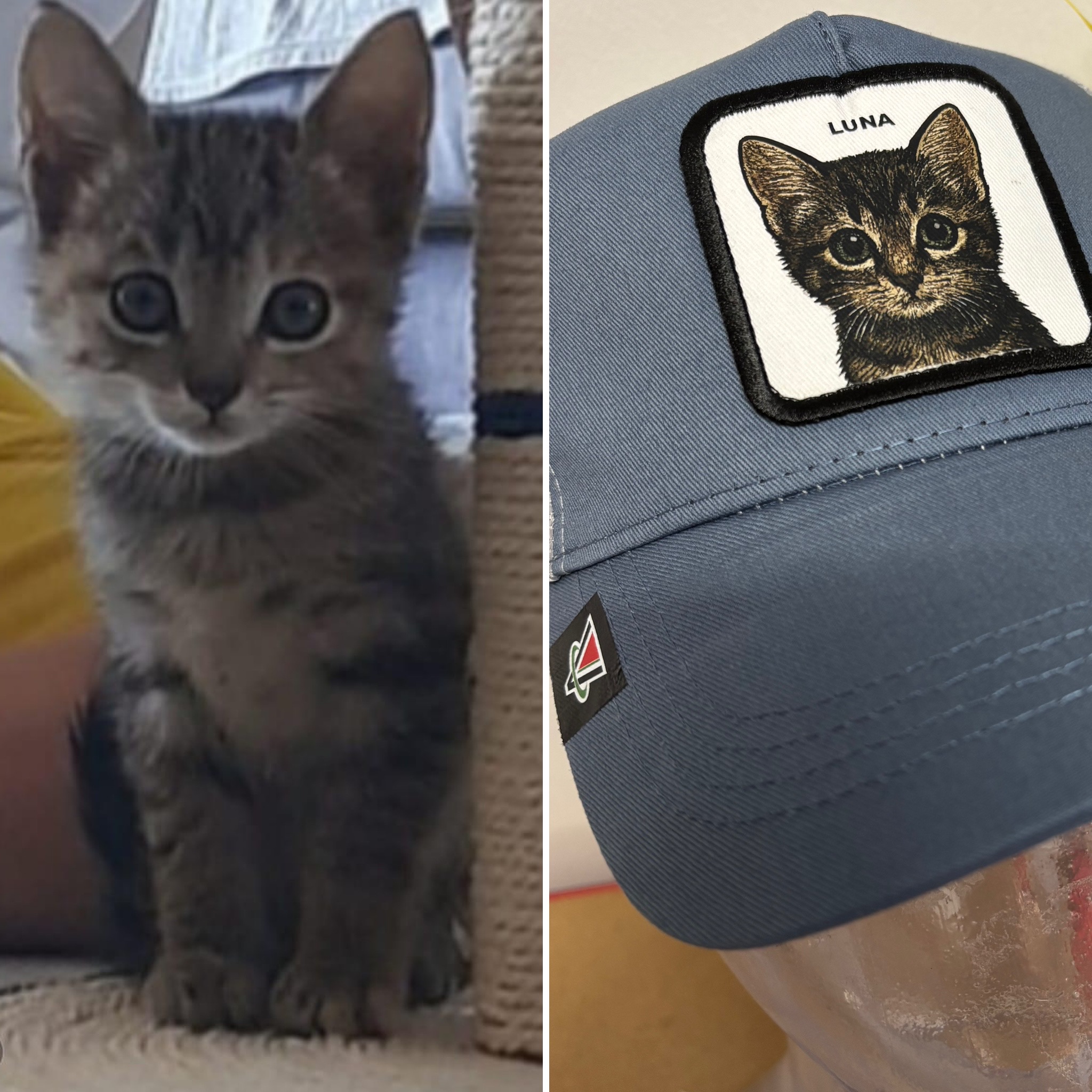 L'idea regalo perfetta per uomo donna o bambino - capmypet l'originale! Il cappellino da baseball o papalina personalizzata con la foto del tuo animale domestico ! Studio Grafico Grosseto - Vulcano Comunicazione