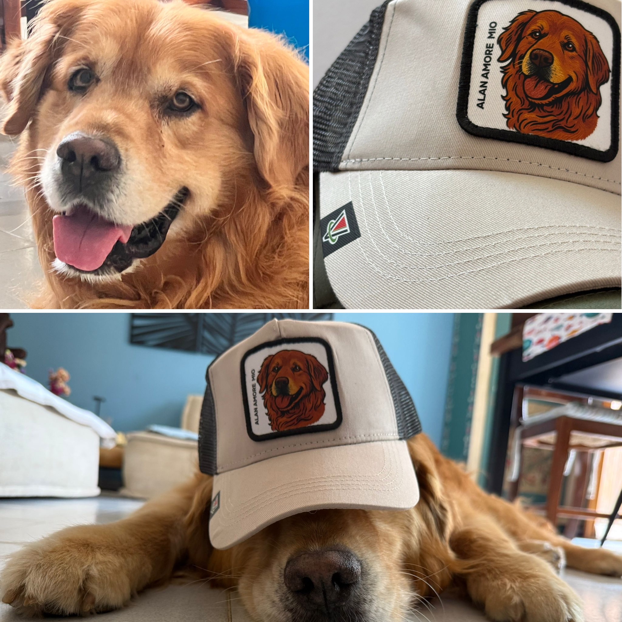 L'idea regalo perfetta per uomo donna o bambino - capmypet l'originale! Il cappellino da baseball o papalina personalizzata con la foto del tuo animale domestico ! Studio Grafico Grosseto - Vulcano Comunicazione