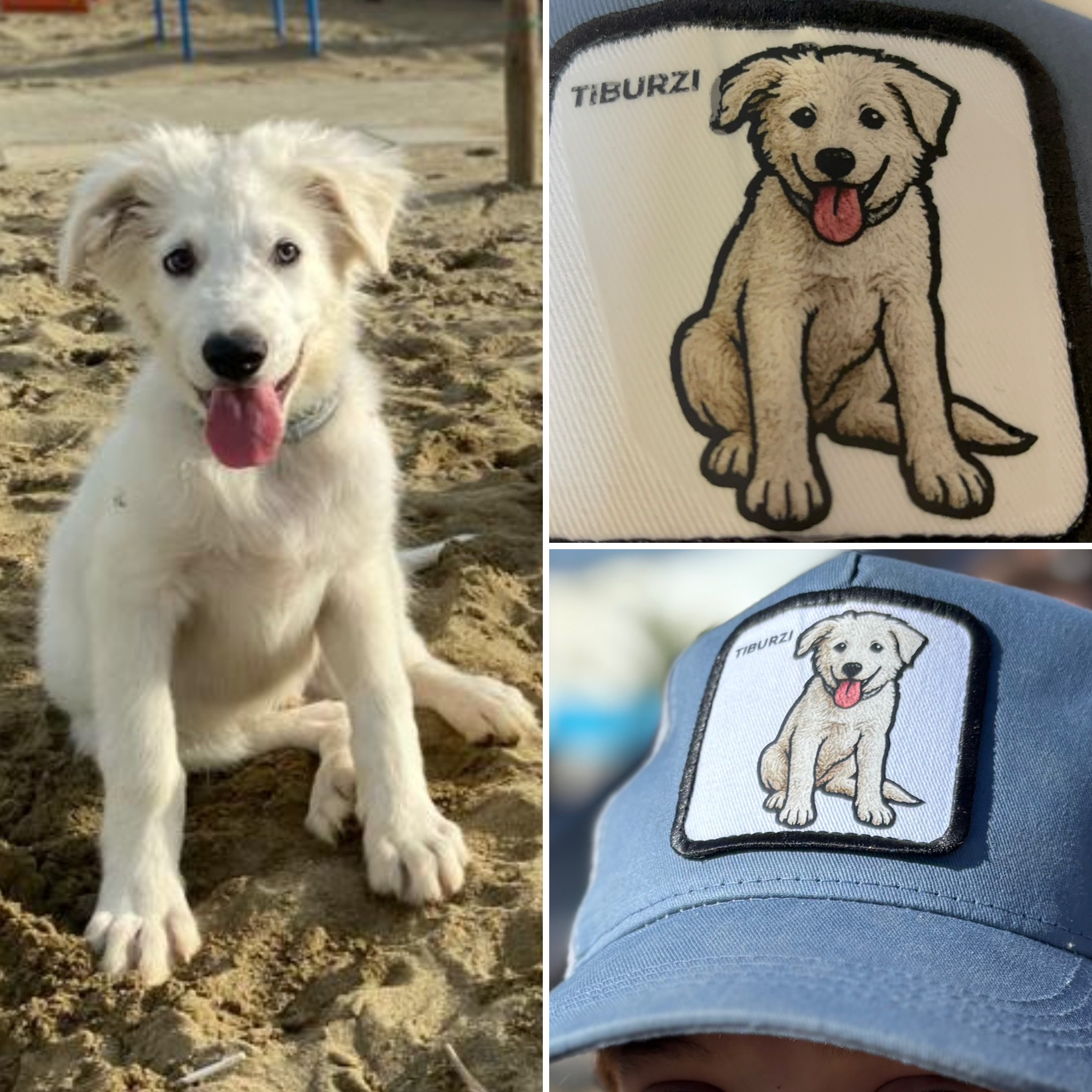 L'idea regalo perfetta per uomo donna o bambino - capmypet l'originale! Il cappellino da baseball o papalina personalizzata con la foto del tuo animale domestico ! Studio Grafico Grosseto - Vulcano Comunicazione