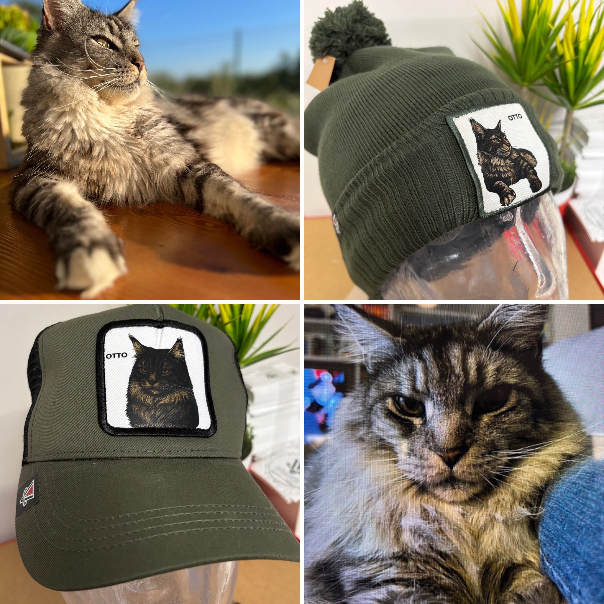 L'idea regalo perfetta per uomo donna o bambino - capmypet l'originale! Il cappellino da baseball o papalina personalizzata con la foto del tuo animale domestico ! Studio Grafico Grosseto - Vulcano Comunicazione