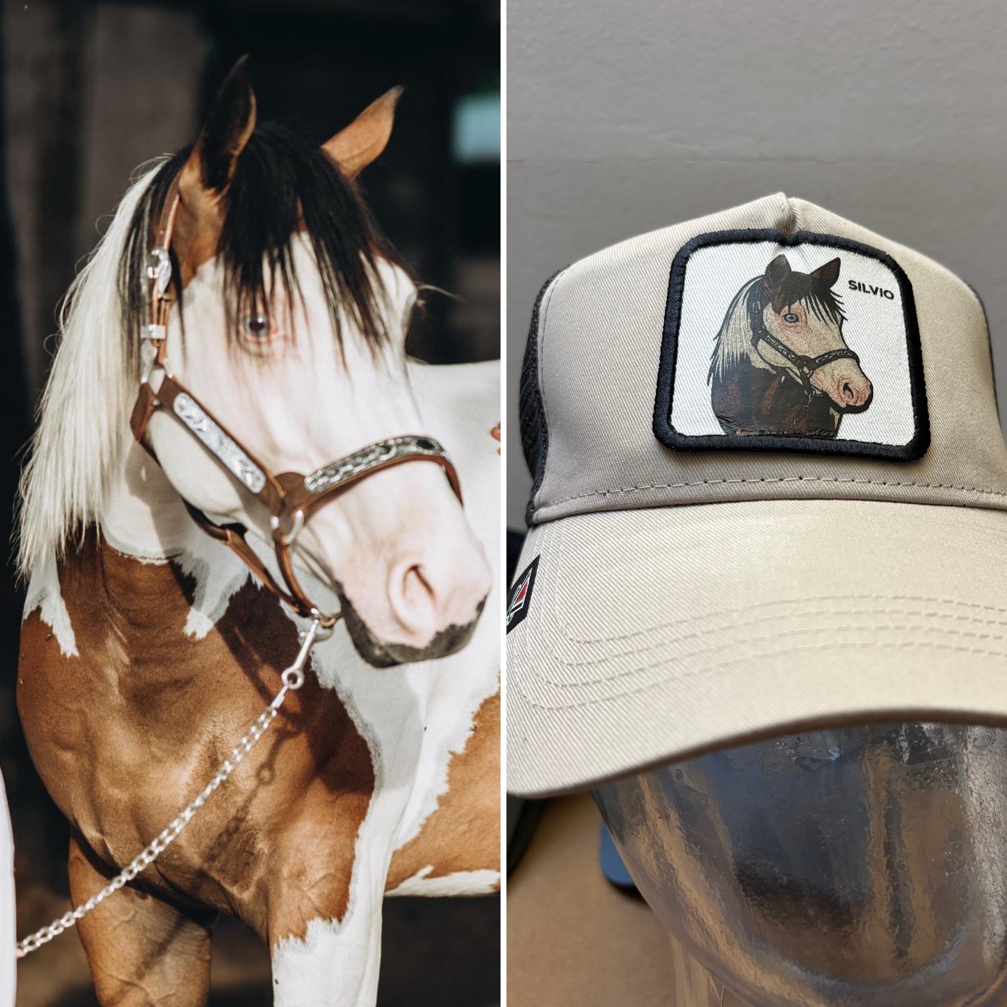 L'idea regalo perfetta per uomo donna o bambino - capmypet l'originale! Il cappellino da baseball o papalina personalizzata con la foto del tuo animale domestico ! Studio Grafico Grosseto - Vulcano Comunicazione