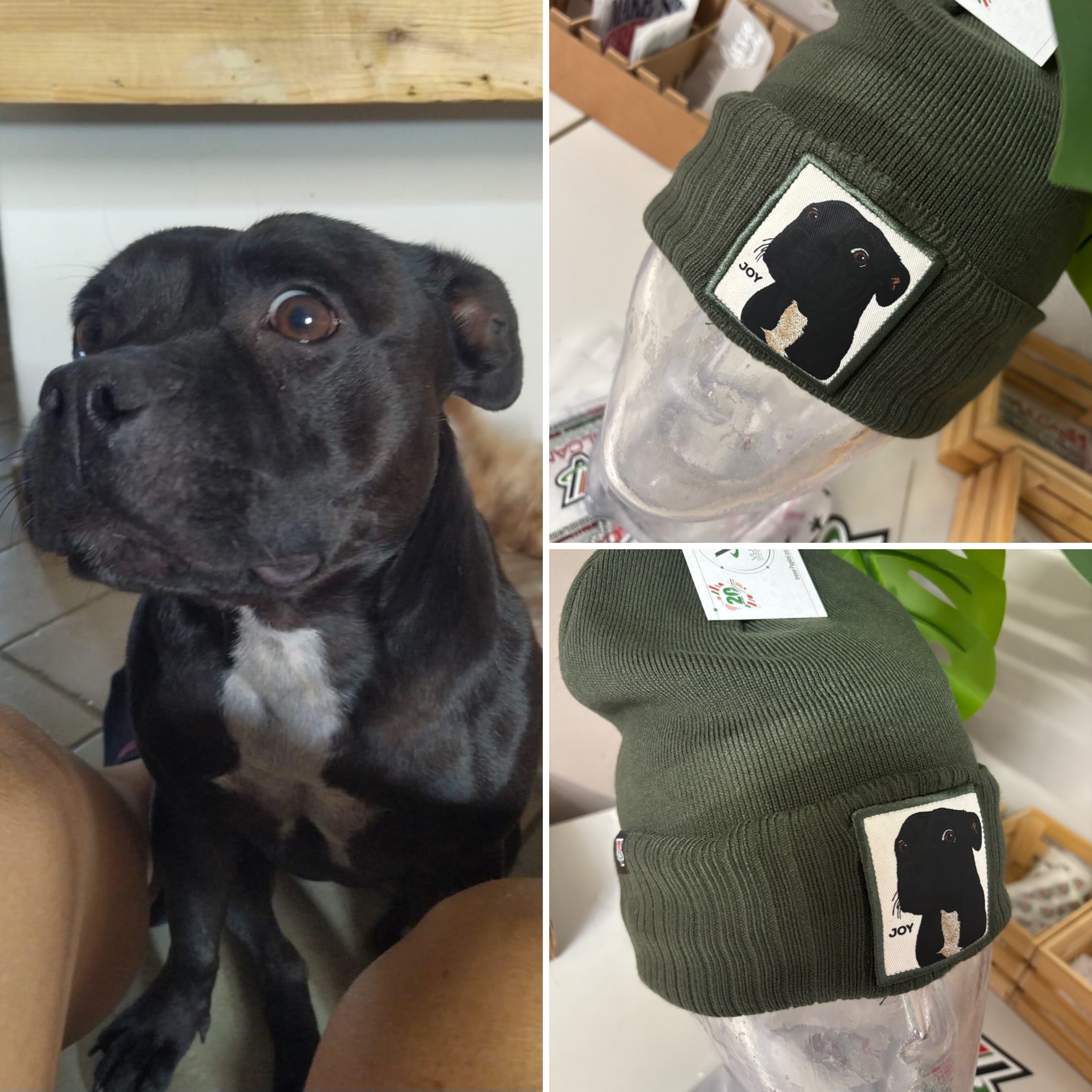 L'idea regalo perfetta per uomo donna o bambino - capmypet l'originale! Il cappellino da baseball o papalina personalizzata con la foto del tuo animale domestico ! Studio Grafico Grosseto - Vulcano Comunicazione