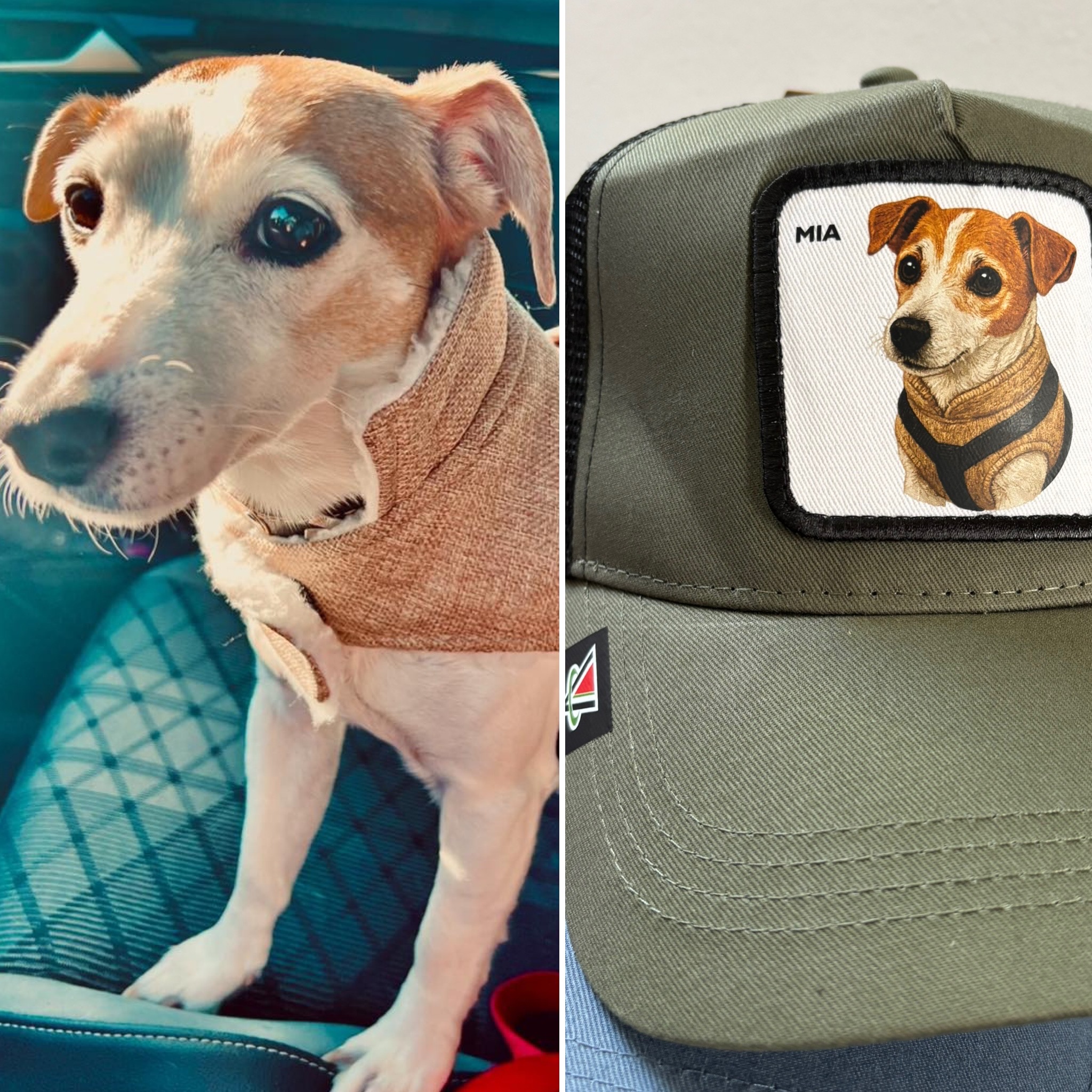 L'idea regalo perfetta per uomo donna o bambino - capmypet l'originale! Il cappellino da baseball o papalina personalizzata con la foto del tuo animale domestico ! Studio Grafico Grosseto - Vulcano Comunicazione