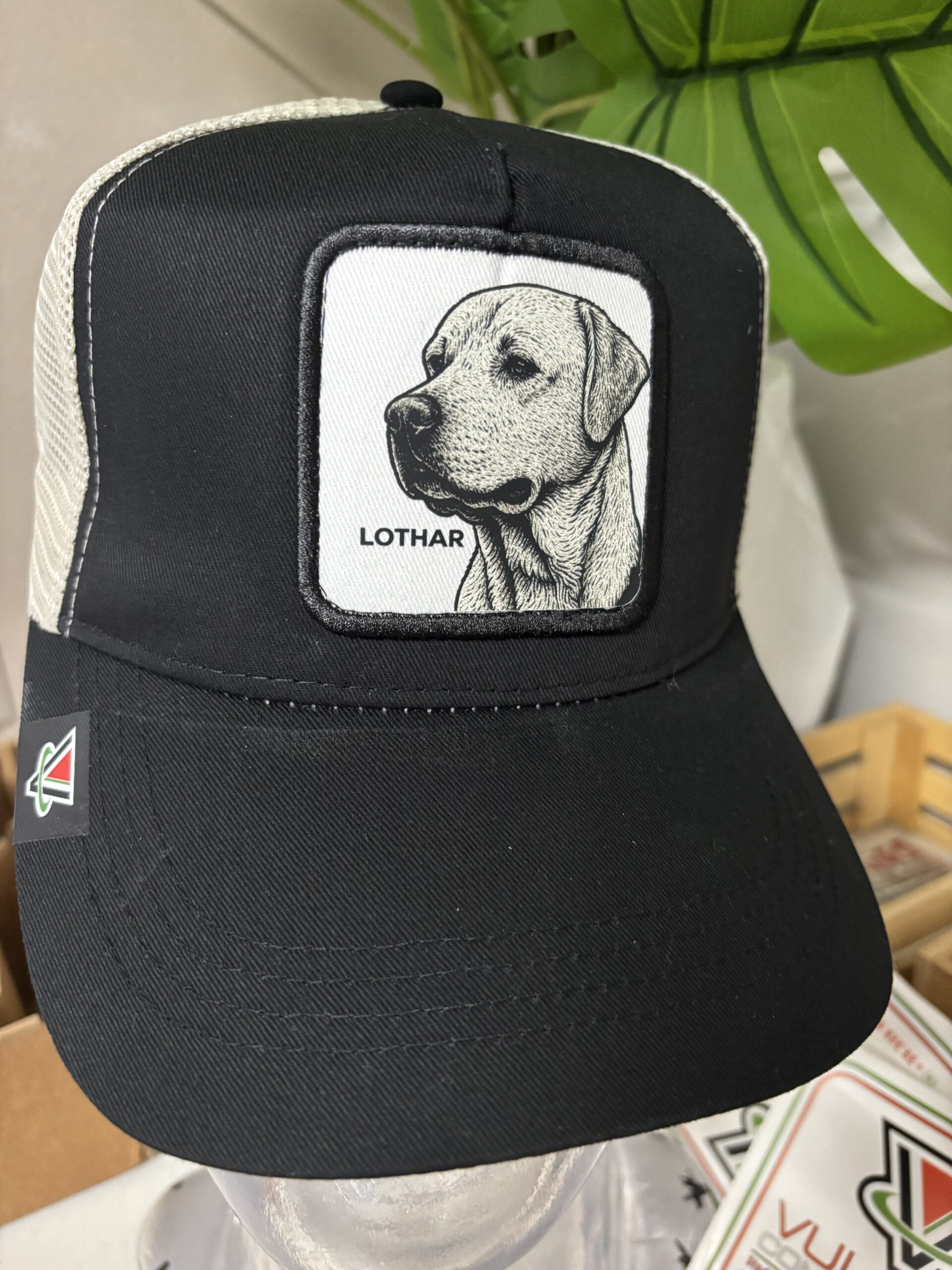 #CapMyPet PetPatch& Proud il cappellino personalizzato con la foto del tuo amico a 4 zampe