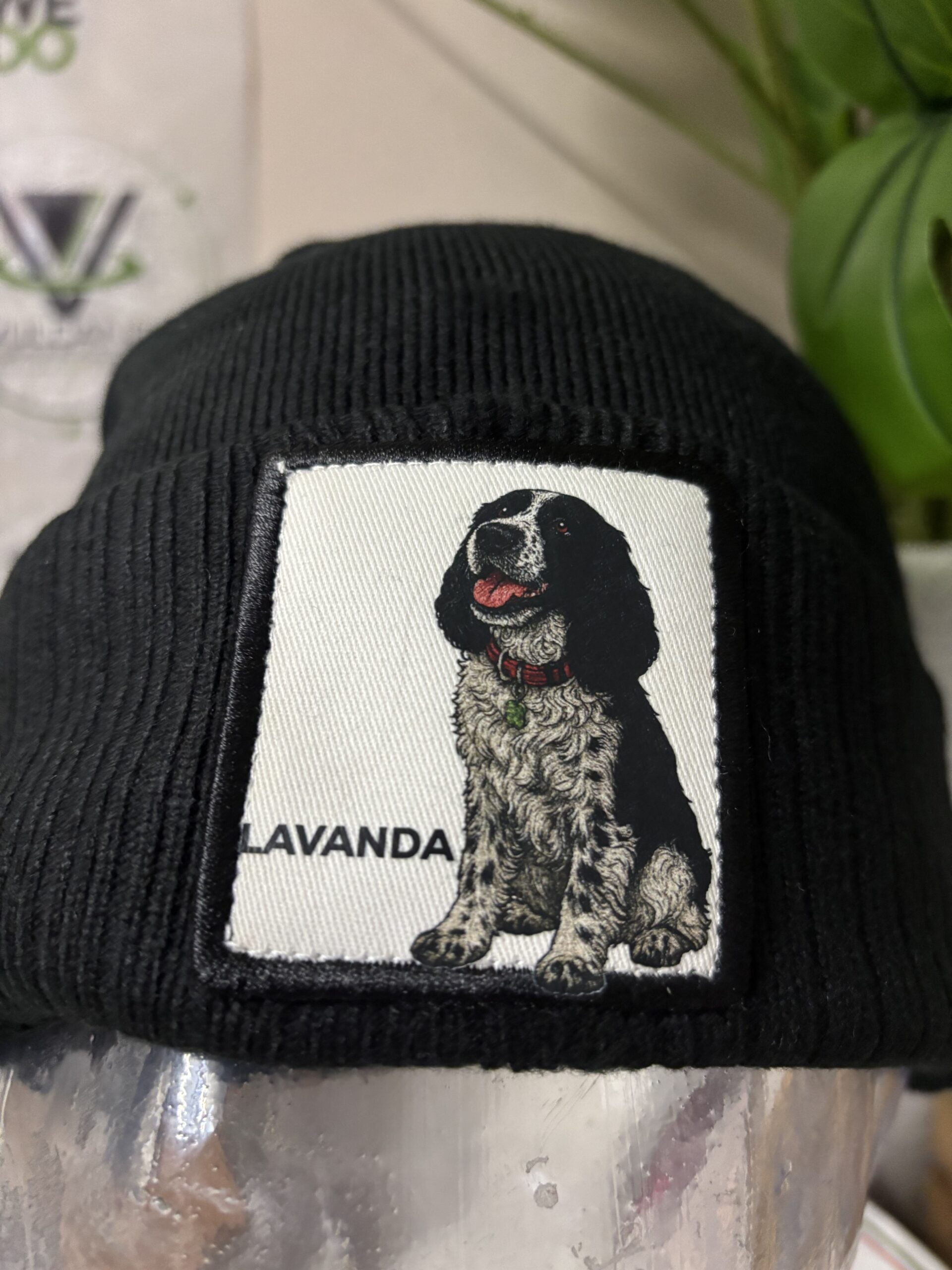 #CapMyPet PetPatch& Proud il cappellino personalizzato con la foto del tuo amico a 4 zampe