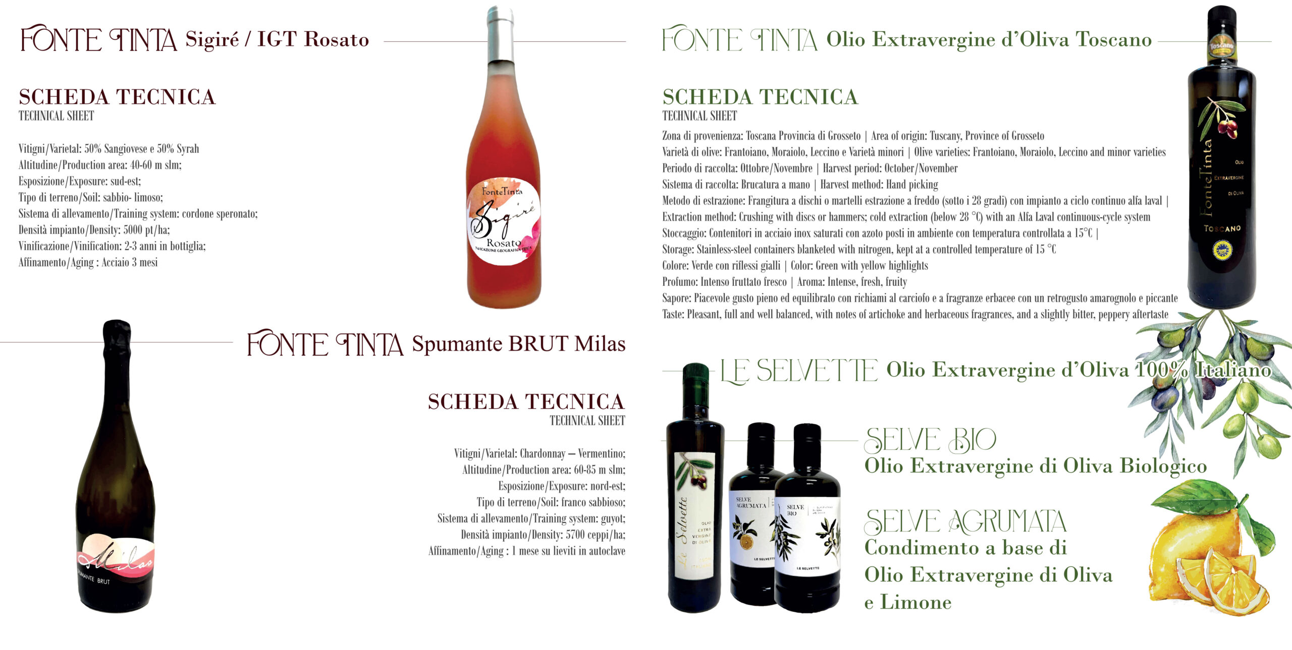 progettazione grafica e stampa BROCHURE AZIENDALI - studio grafico Grosseto Vulcano Comunicazione (2)