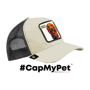 CapMyPet l'unico ed originale cappellino dedicato agli amici degli amici a 4 zampe!