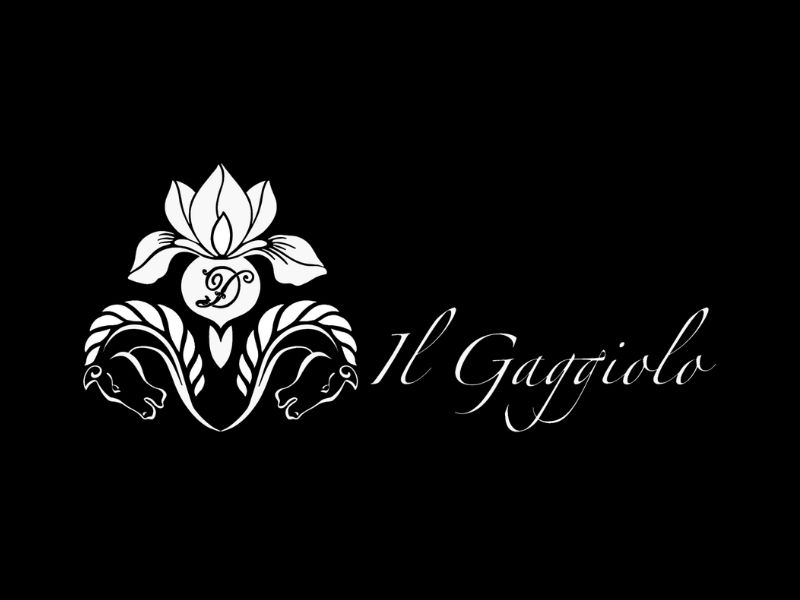 Realizzazione Sito Web Agriturismo il Gaggiolo